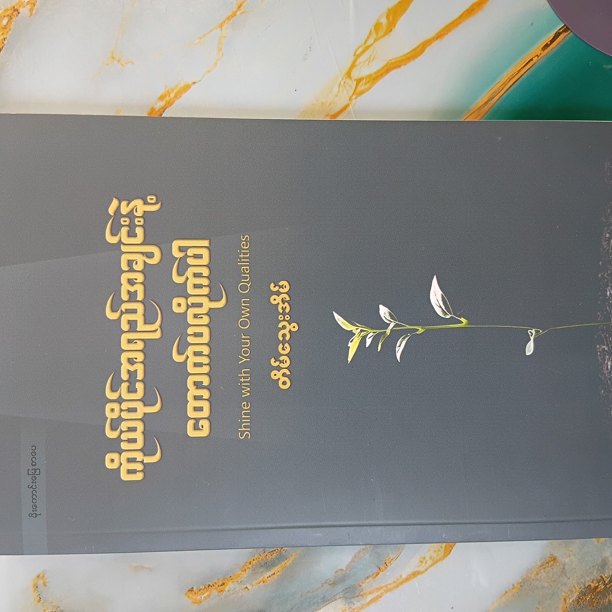 ကိုယ်ပိုင်အရည်အချင်းနဲ့တောက်ပလိုက်ပါ(တိမ်သွေးအိမ်)