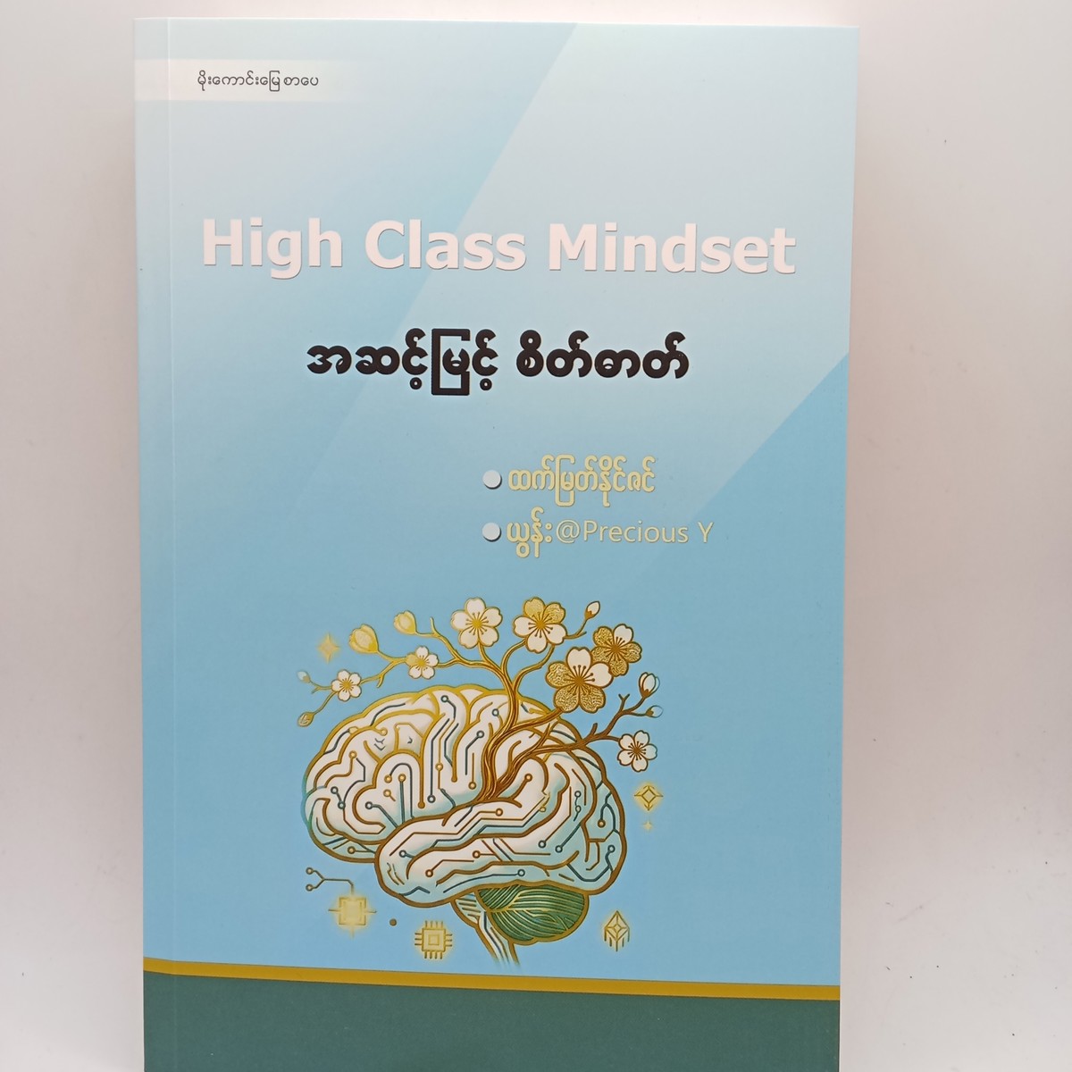 အဆင့်မြင့်စိတ်ဓာတ်