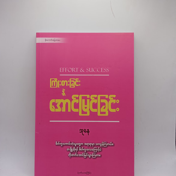 ကြိုးစားခြင်း နဲ့ အောင်မြင်ခြင်း - သုနေ
