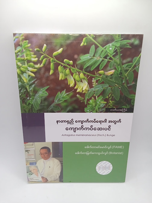 နာတာရှည် ကျောက်ကပ်ရောဂါအတွက် ကျောက်ကပ်ဆေးပင် [ဒေါက်တာခင်မောင်လွင်{FAME}]