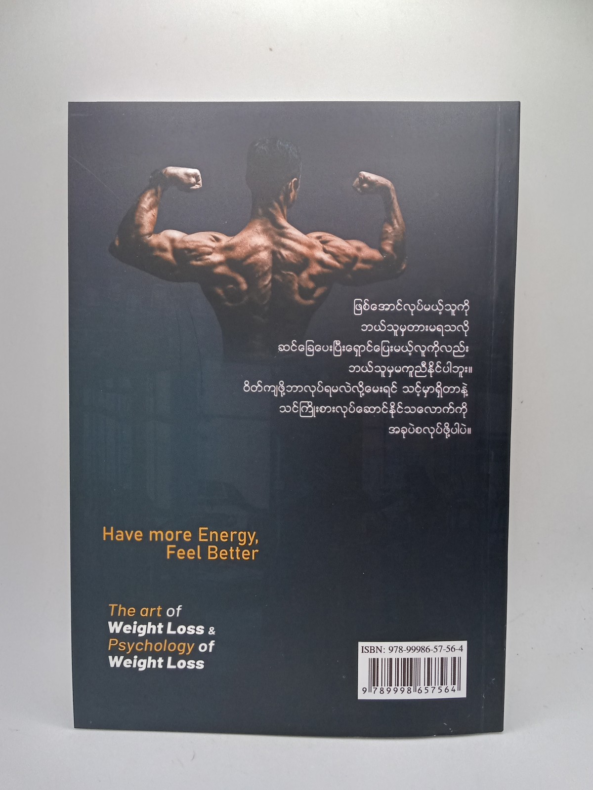 ဝိတ်ချခြင်းအနုပညာ (နိုင်ဦး-၁၁၉)