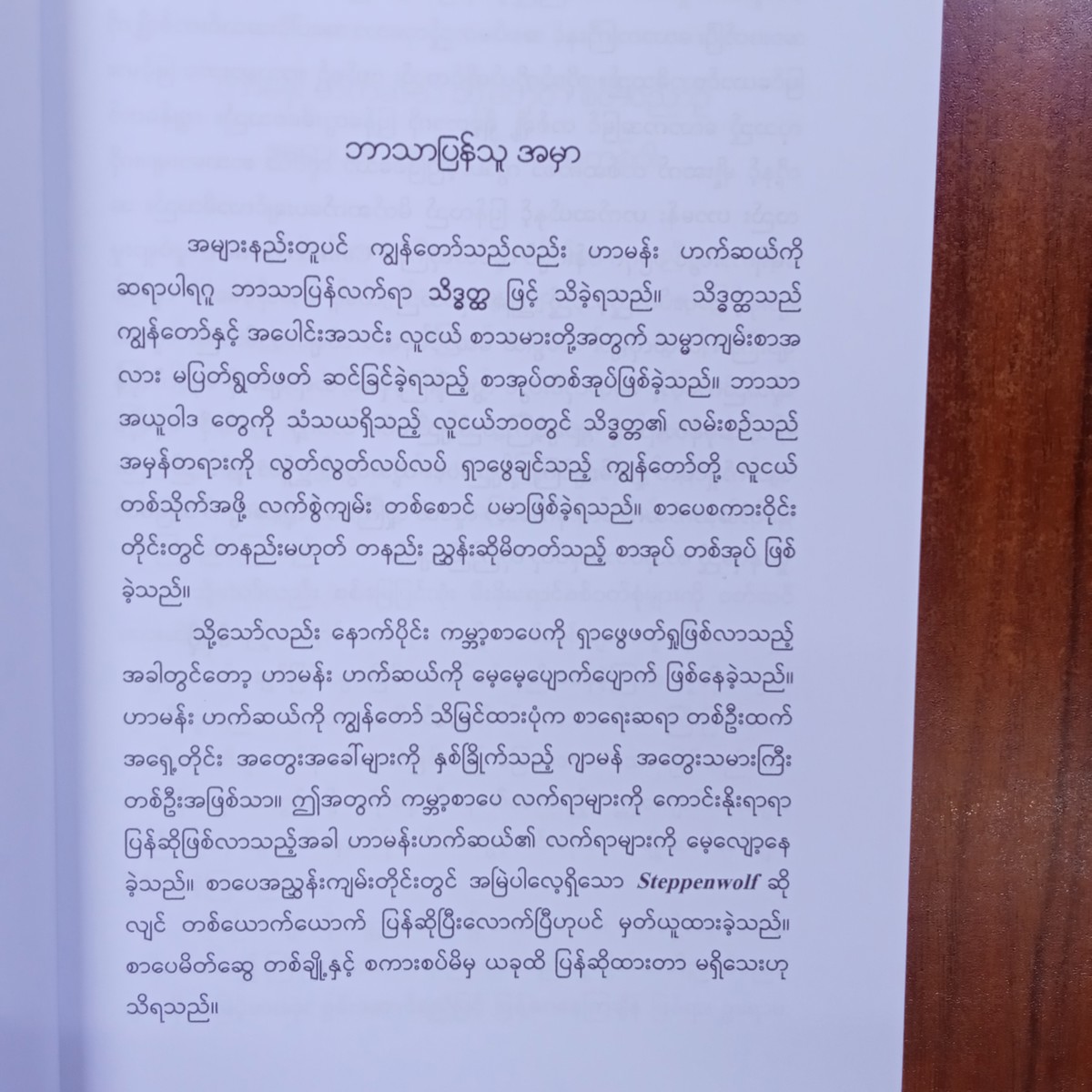 အထီးကျန်ဝံပုလွေ