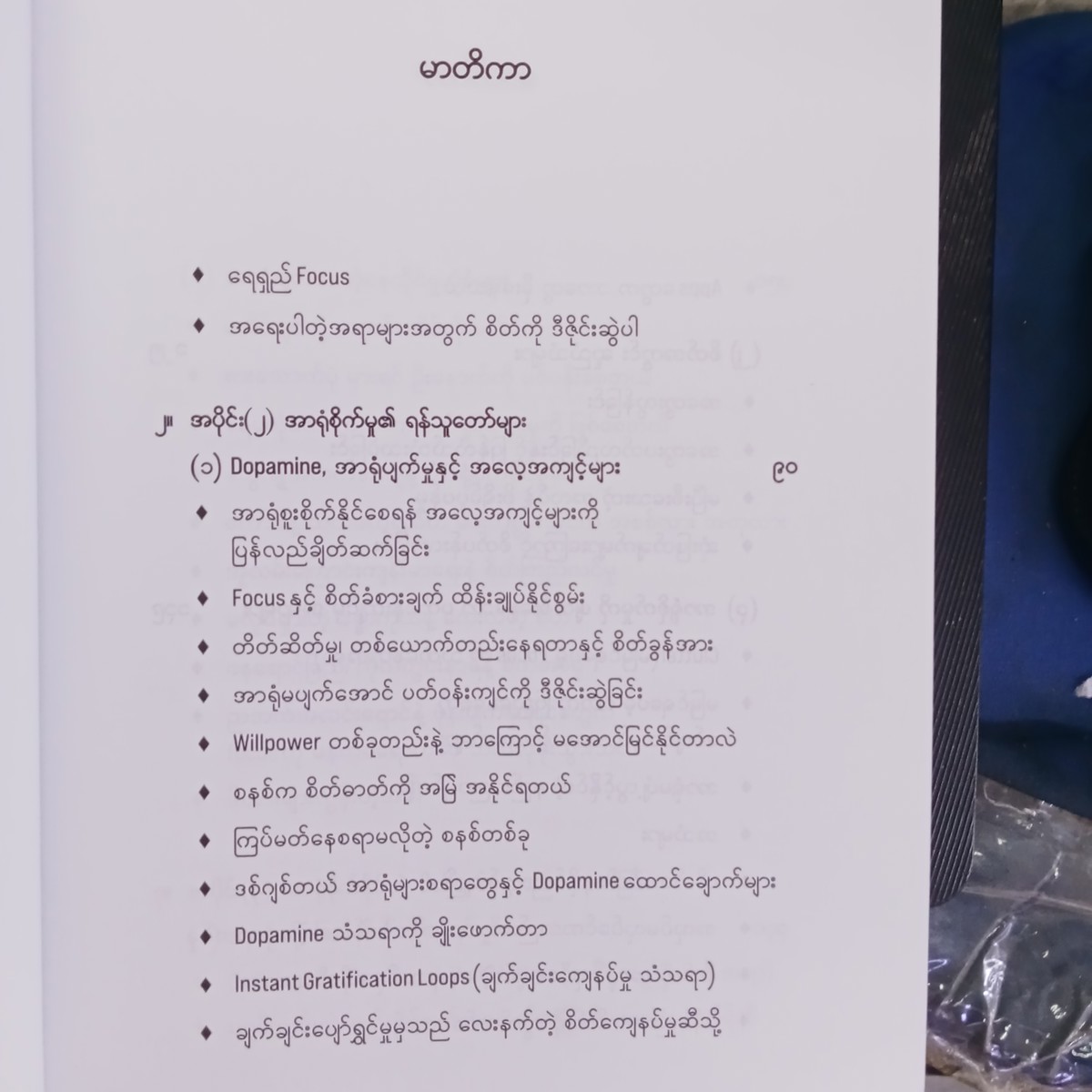 အာရုံကိုပိုင်မှဘဝခိုင်မယ် (ဒီပါ)
