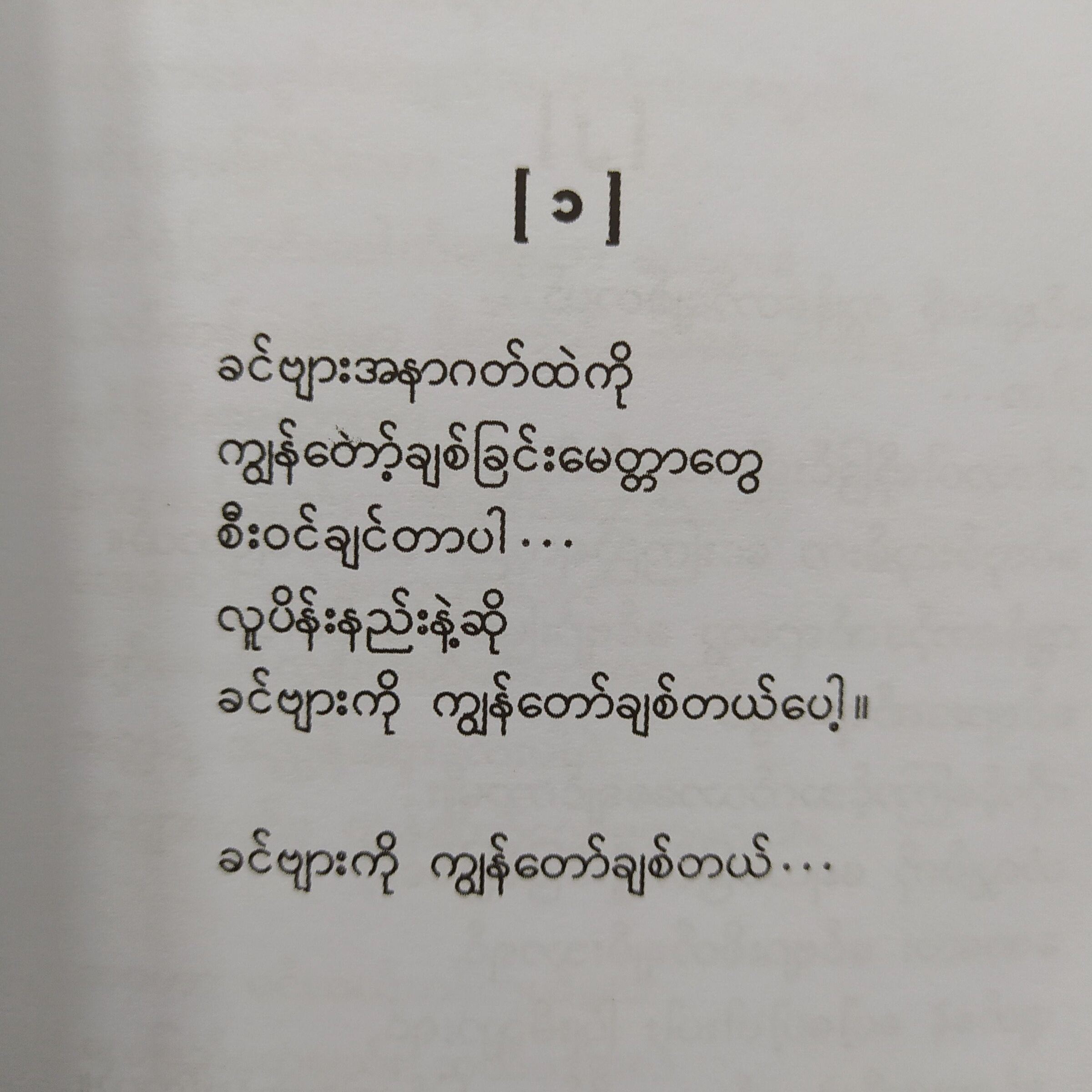 ခင်ဗျားကို ကျနော်ချစ်တယ် (စဝ်ခွန်ဇ)