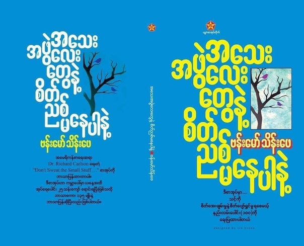 “အသေးအဖွဲလေးတွေနဲ့ စိတ်ညစ်မနေပါနဲ့” (ဗန်းမော်သိန်းဖေ)