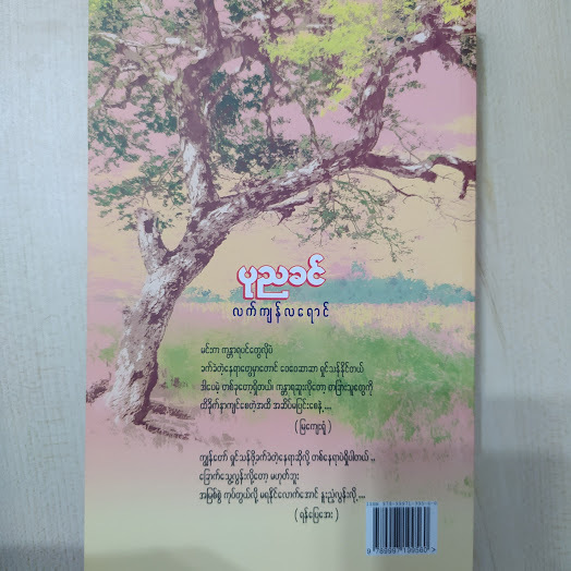 လက်ကျန်လရောင် (ပုညခင်)