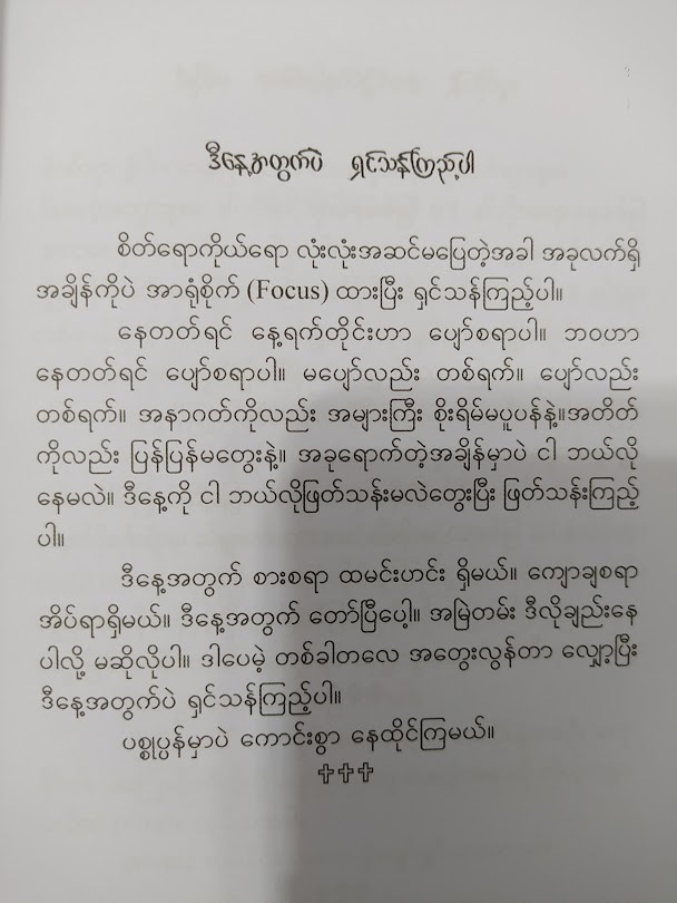 The essence of happiness ပျော်ရွှင်ခြင်းအနှစ်သာရ (နူးနူးအောင်)