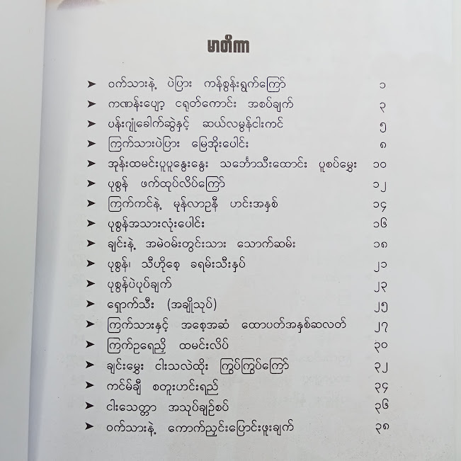 စားဖို့ပြင်ဆင်ဟင်းအစုံအလင်(အန်တီမီးမီး)
