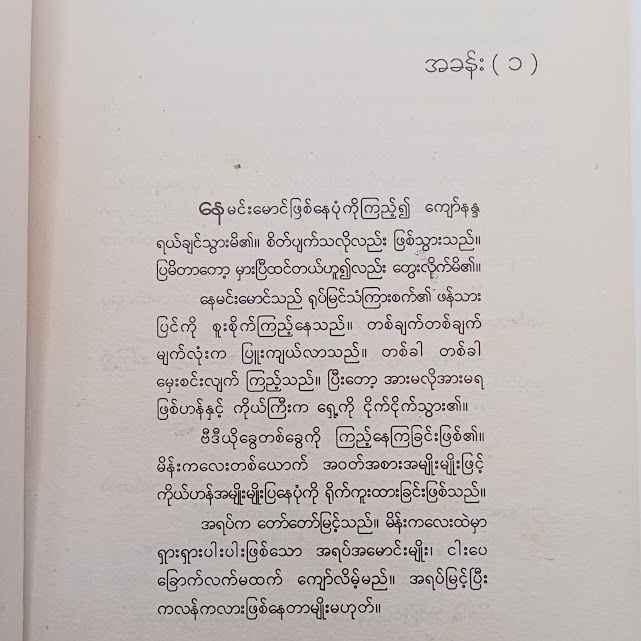 ပြောတိုင်းယုံတဲ့ပုတ်သင်ညို(မင်းလူ)