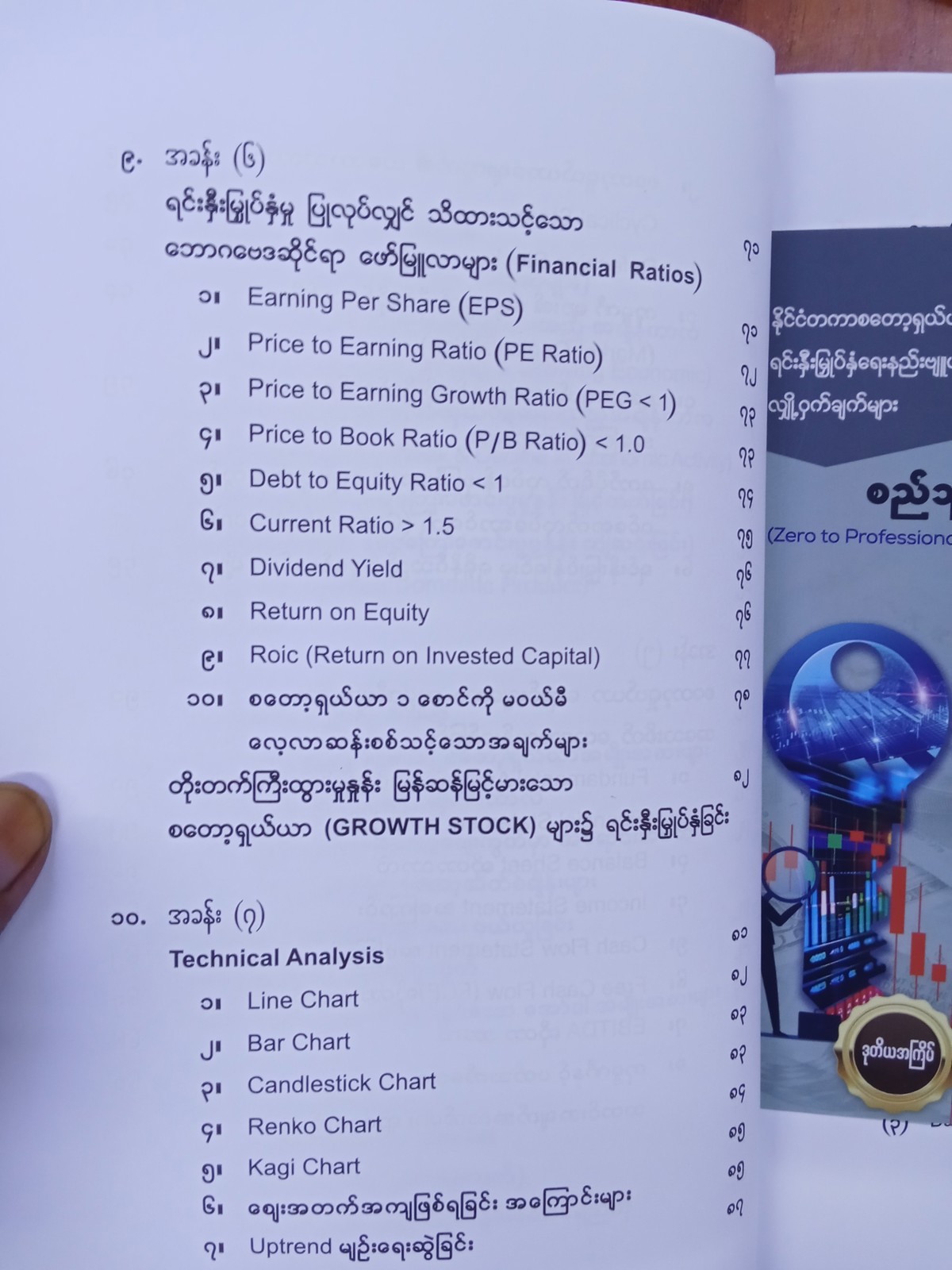 နိုင်ငံတကာစတော့ရှယ်ယာရင်းနှီးမြုပ်နှံရေးနည်းဗျုဟာလျှို့ဝှက်ချက်များ(စည်သူ)