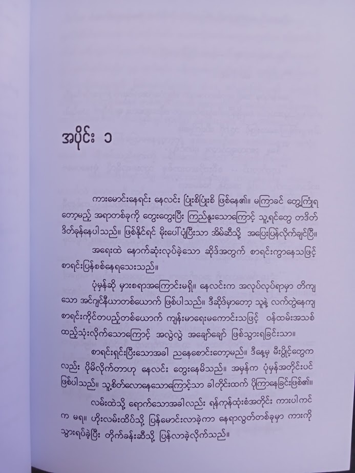 ပိုးဖလံမျိုးမို့ မီးနဲ့သာရေချိုးခဲ့သည်။/ကိုစိုးထိုက် ဖဒို