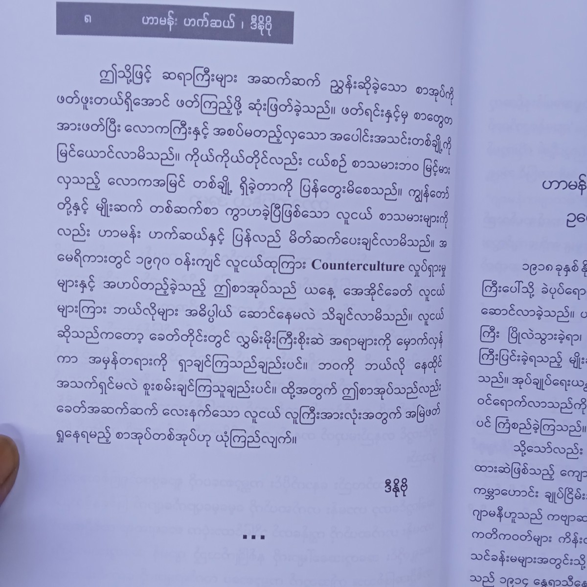 အထီးကျန်ဝံပုလွေ